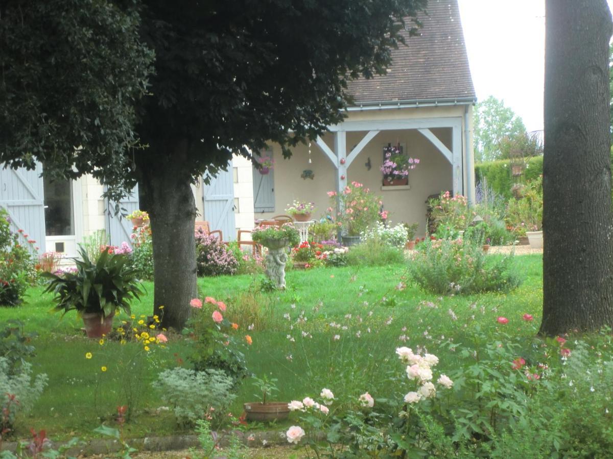 Chambre D'Hotes La Belle Saison Villedomer المظهر الخارجي الصورة